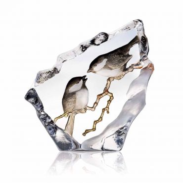 Maleras Wildlife Marsh Tits