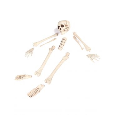 Halloween Luut 12 Kpl - Värikäät - Ainutlaatuinen Koko