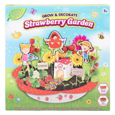Creative Sprouts Grow & Decorate Strawberry Garden Kit