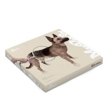 Oma lemmikkini koiran pesu