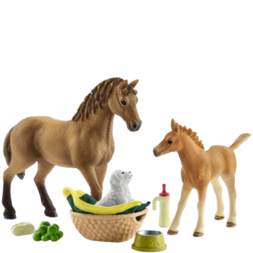 Schleich Horse Club Sarah's Care of Baby Animals - 42432