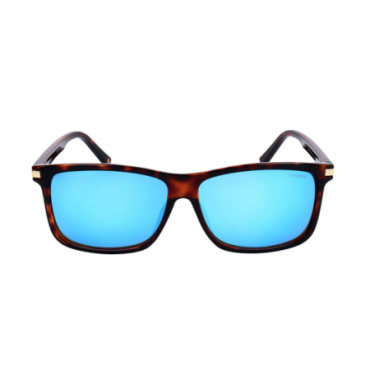 Polaroid PLD2075SX Havanna sininen aurinkolasit