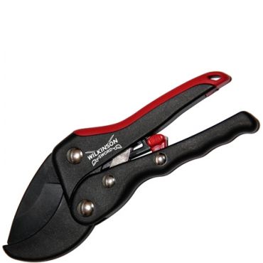 Wilkinson Sword oksasakset