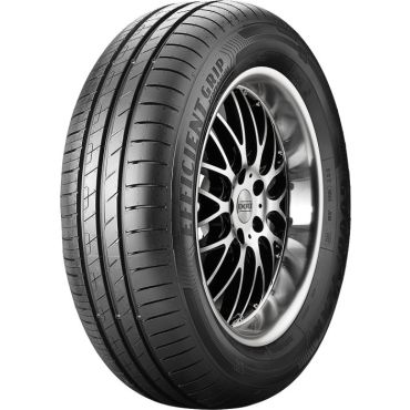 Goodyear EfficientGrip Performance ( 215/45 R20 95T XL EDT, R, SealTech, vannesuojalla (MFS) )