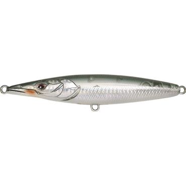 Pintauistin Xorus Asturie 130 - 13cm Asturie130belone