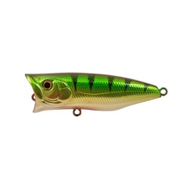 Pintauistin Bassday Pop'n Chug - 6.5cm Bas-pop65-h-33