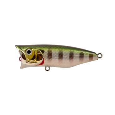 Pintauistin Bassday Pop'n Chug - 6.5cm Bas-pop65-p-254