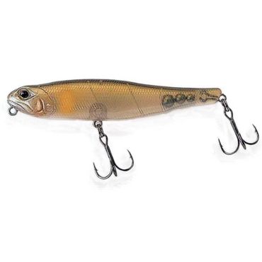 Pintauistin Cultiva Tango Dancer Surf - 11.5cm Ow-td115-06