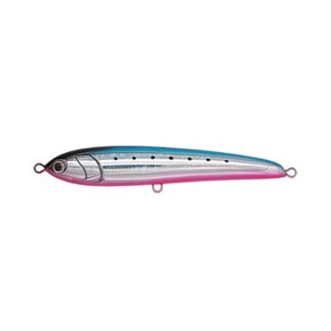 Pintauistin Maria Rapido F160 - 16cm Rapidof1603