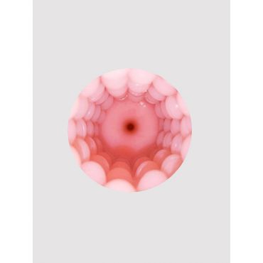 Lovense Vagina Sleeve for Max 2 Erotic accessories - Amorana