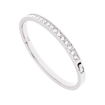Ted Baker Clemara Hinge Crystal Silver Bangle