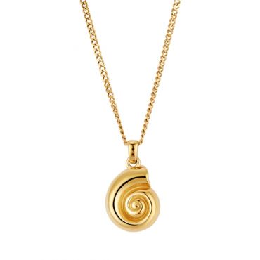 Over & Over Gold 14k Stainless Steel Spiral Shell Necklace - Gold