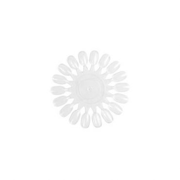Marguerite Transparente Pour 18 Nuances - PBI