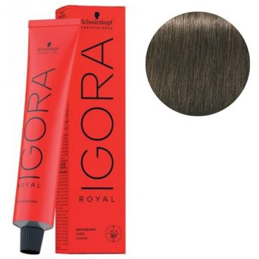 Coloration Igora Royal 6-1 blond foncé cendré Schwarzkopf 60ML
