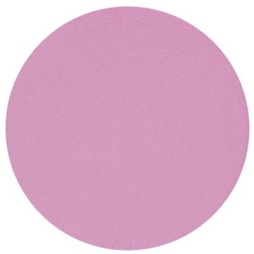 Fard à paupière mat rose Parisax Professional