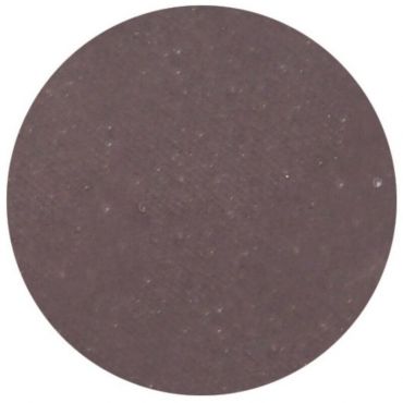 Fard à paupière mat aubergine Parisax Professional