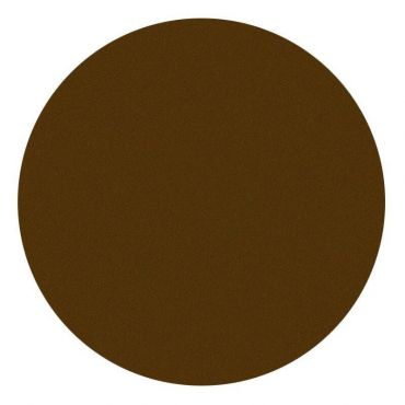 Fard à paupière mat chocolat Parisax Professional