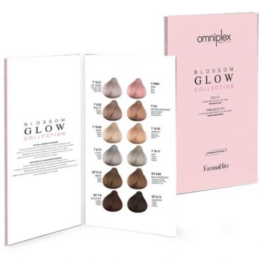 Nuancier 12 mechettes Toner Blossom Glow