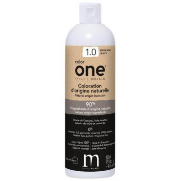 Coloration Color One 1.0 brun noir Patrice Mulato 300ML