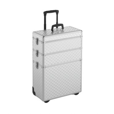 Valise trolley rigide Silver STAGE X Xanitalia Pro