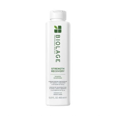 Shampoing pour cheveux abîmés Strength Recovery Biolage 400ml