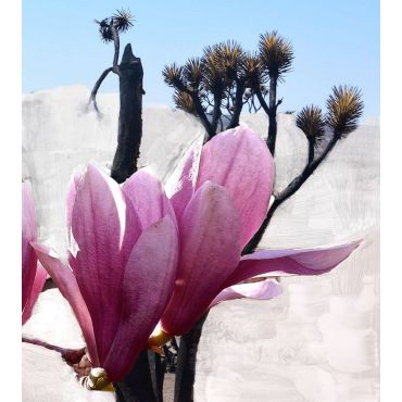 Mojave ghost Eau De Parfum - 100ml - BYREDO