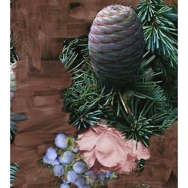 Super Cedar Eau De Parfum - 100ml - Iconic Scents - BYREDO