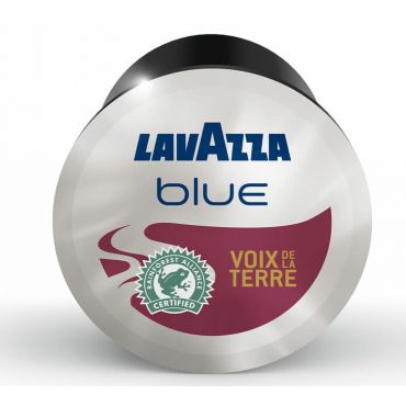 Lavazza BLUE - Lavazza Blue Voix de la Terre Espresso capsules x 100 Lavazza coffee pods