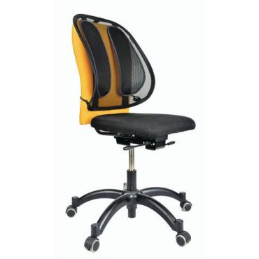 Fellowes - Verkkokankainen selkätuki - 2 pidikettä - Ergonominen - Musta