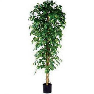 Vepabins - Keinotekoinen kasvi ficus benjamina vihreä korkeus 210cm
