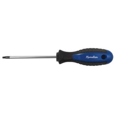 Manutan Expert - T40 Torx-ruuvimeisseli - 150 mm terä - 325 mm kokonaispituus - 10 vuoden takuu