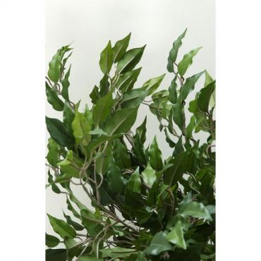 Vepabins - Keinotekoinen kasvi ficus benjamina vihreä korkeus 210cm