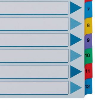 10 Kpl Pakkaus - Välilehdet Esselte Mylar A4 1-12,
