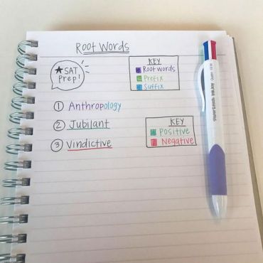 Papermate - Kuulakärkikynä InkJoy Quatro 4 väriä - Sekoitetut värit - 12 kpl