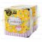 Center-In Feminine Pads 21cm 28 pcs x 2