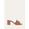 Colour Vicuna