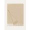 Loro Piana - Stola Opera, Woman, Shadow Gold, Size: NR