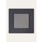 Loro Piana - Pois & Dots Foulard 41 Silk Twill, Man, Navy Blue/Tobacco/White Pois, Size: NR