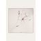 Loro Piana - Loro Piana La Linea Del Fiore Di Lino Fld90 Se Tw, Woman, White/Sanguine Pencil, Size: NR