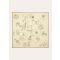 Loro Piana - Loro Piana Heritage Foulard 60 Silk Twill, Woman, Pale Yellow/Dark Brown/Kummel, Size: NR