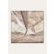 Loro Piana - Loro Piana Storm System Foulard 90 Wool, Man, Sepia Tint/Pinecone Brown/Ivory, Size: NR
