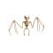 Lepakon Luuranko- Riippukoriste Halloween - Harmaa, Valkoinen - One-size