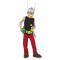 Asterix + Obelix - Asteriksin Naamiaisasu Lapselle - Värikäät - 7-8 vuotta (128 cm)
