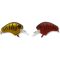 Red Gold Perch