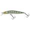 Blue Gill GB
