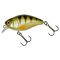 Perch