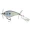 Beauty Shad