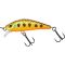 Gold Trout