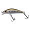 Sight Trout