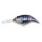 Purple Gill
